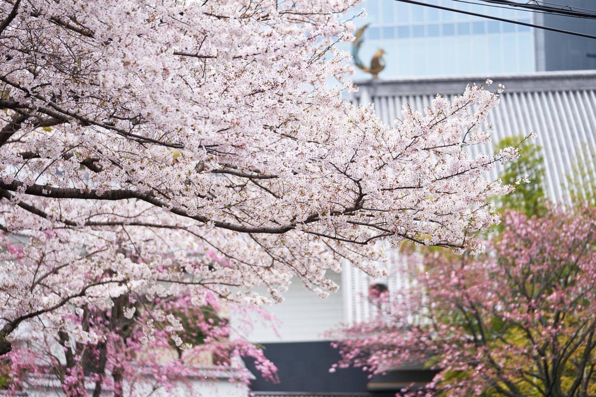 Hotel Gajoen Tokyo — Photos 2